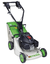 Tondeuse à gazon ETESIA Pro 46 - PHTS3